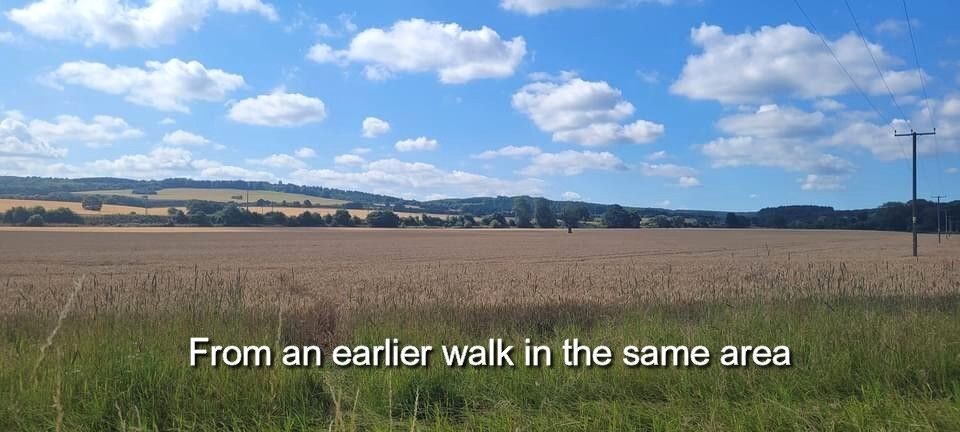 From an earlier walk in the same area 